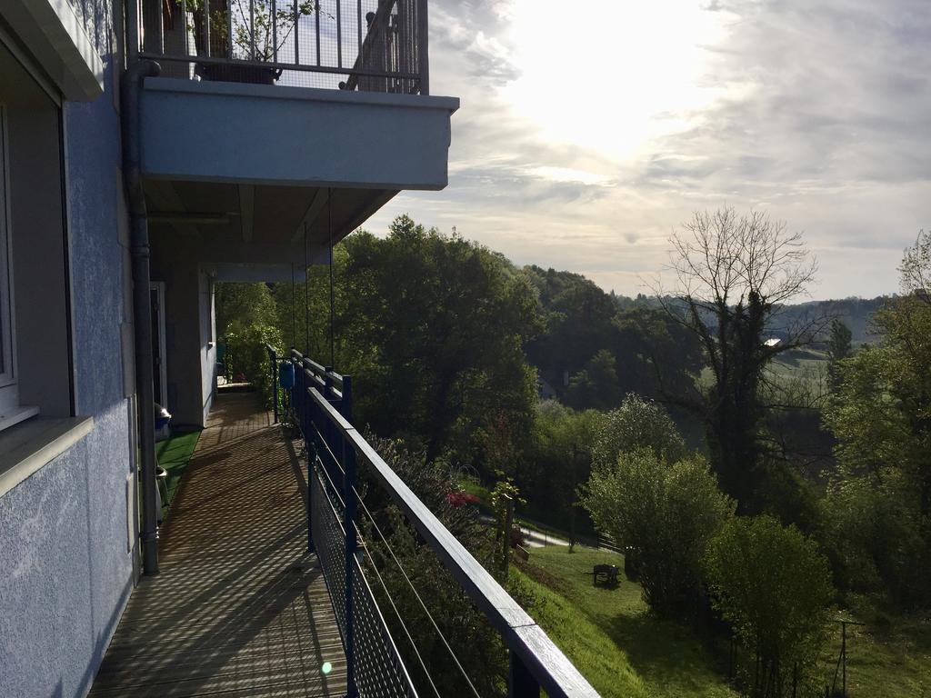 Les Gites De La Maison Bleue D'Estialescq Exterior photo